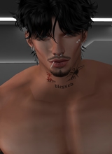 Guest_Jacko034