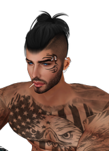 immagine avatar
