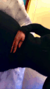 Guest_33inch