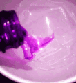 Guest_6ixmill