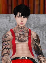 Guest_MMSalvitor