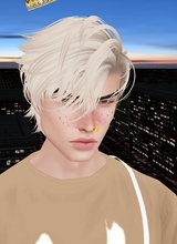 Guest_Aleandrino2