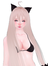 Canvas: Jyzi
