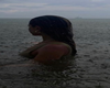 Elam
