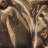 Guest_Fireboy501