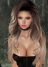 xWildBellex