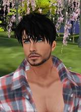 Guest_Andrey206144