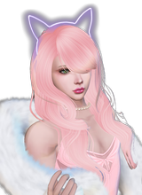 Guest_EddiTheBrat