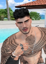 Guest_Fernando571868