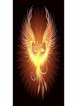 lxDarkdragonphoenixl