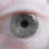Furer