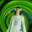 Guest_1cardingfraud