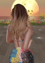 3bra