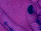 Guest_simplykaleigh