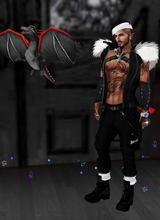 DragonDarkness