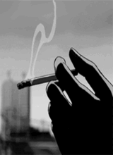 Guest_A7aa1