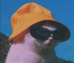 Guest_PacoElMelonero