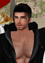 immagine avatar