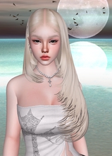 immagine avatar