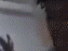 Guest_kinggodj