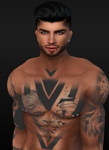 ShayneStylez