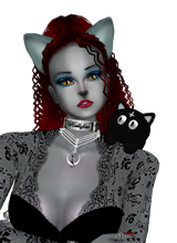 schattencat
