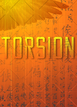 Torsion