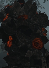 Guest_Ludimla