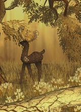 Guest_Ludimla