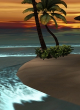 Guest_anle13