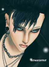 SchwarzeWolf