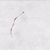 صورة الـavatar