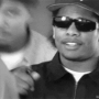 Guest_imexotic