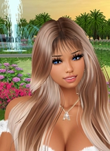 PauletteOdgen1