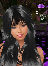 PauletteOdgen1