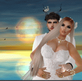Guest_Bruno289211