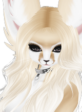 avatar bilde