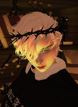 Guest_LEMO810320