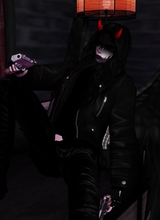 Guest_Aarseth2