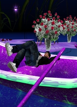 romantico65