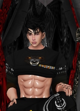 MrShadowWolf