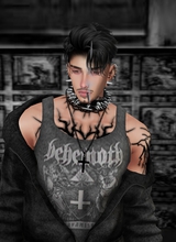 MrPsychoWolf