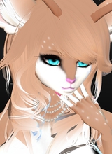 Guest_Lilly90978