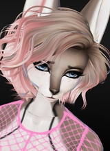 ReylaVulpes