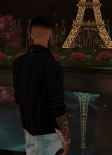 Guest_Harry661