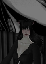 Guest_Twea