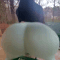 Guest_Kirana977458