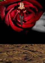 Creator: sexyleggslisa