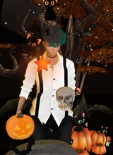 Guest_Missy546599
