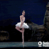 Guest_celestine49